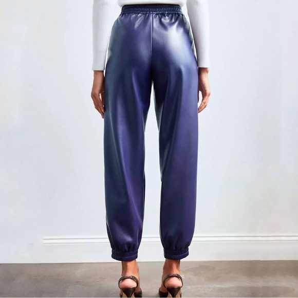Aritzia Babaton RARE✨ Zedel Faux Leather Retro Jogger Pants, Purple size XXS - Picture 7 of 9